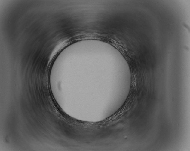 X0000091680004200709131556