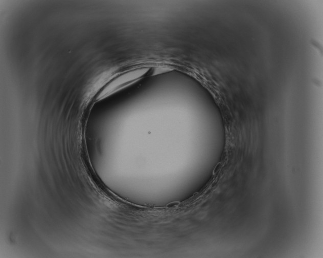 X0000091680005200709131556