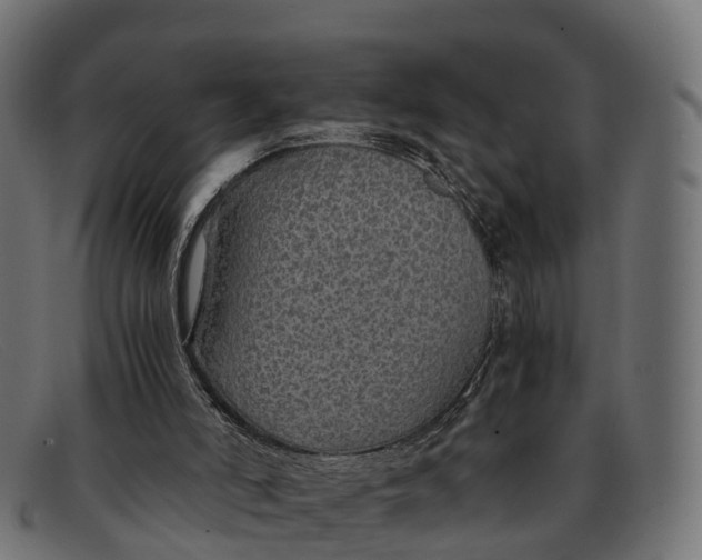 X0000091680006200709131556