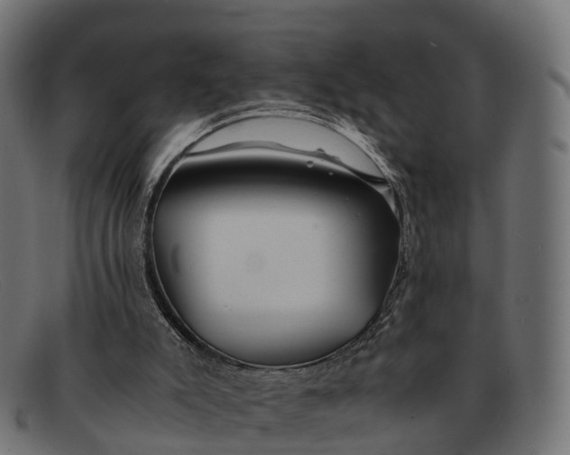 X0000091680007200709131556