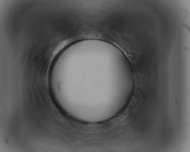 X0000091680008200709131556