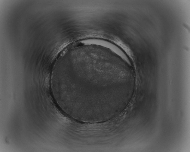 X0000091680009200709131556