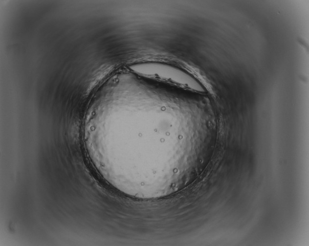 X0000091680010200709131556