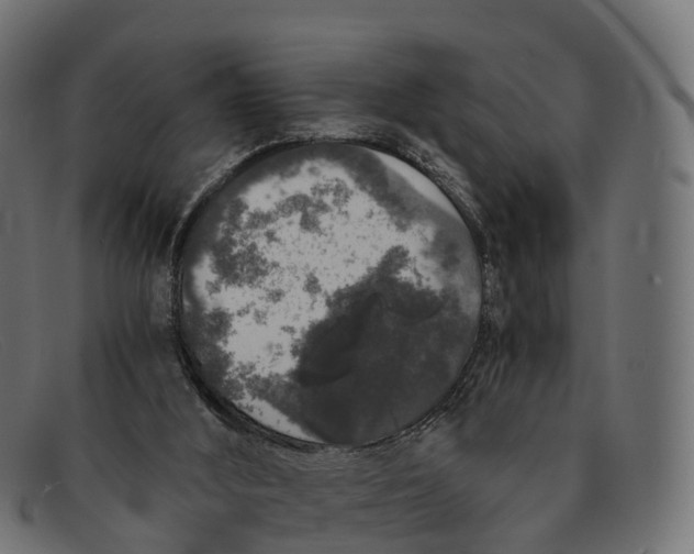 X0000091680012200709131556