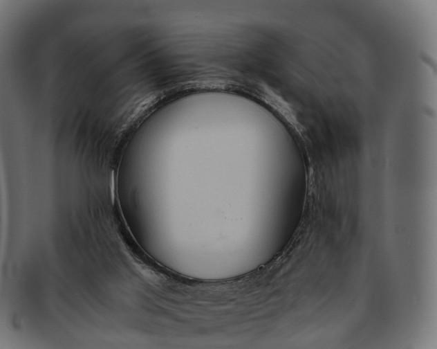 X0000091680013200709131556