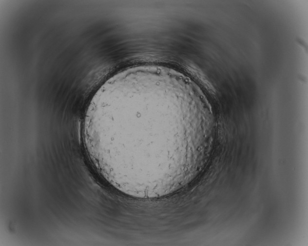 X0000091680014200709131556