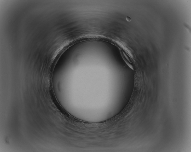 X0000091680015200709131556