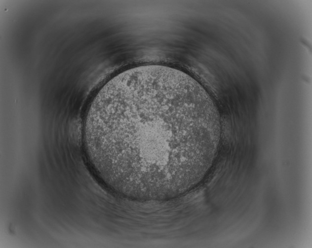 X0000091680016200709131556