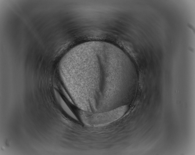 X0000091680017200709131556