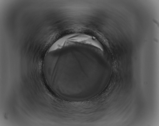 X0000091680018200709131556