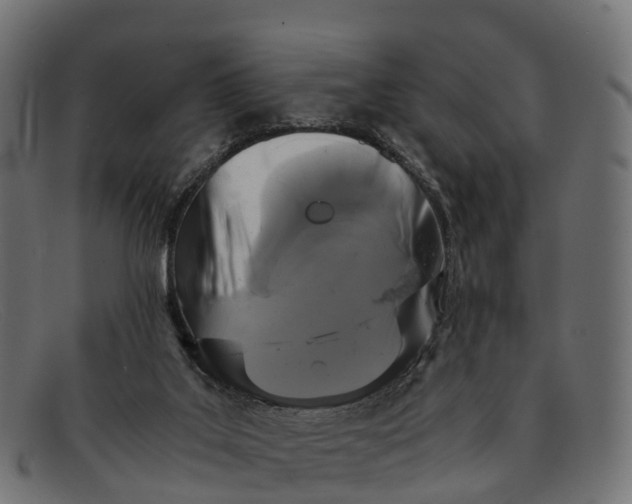 X0000091680019200709131556