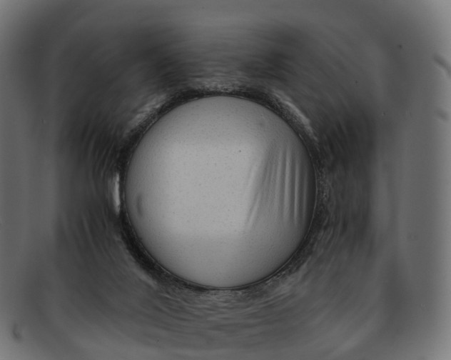 X0000091680020200709131556