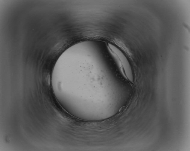 X0000091680021200709131556