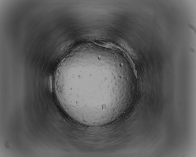 X0000091680022200709131556