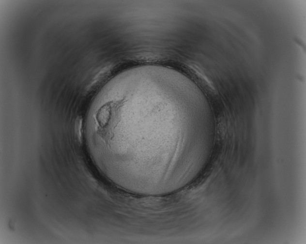 X0000091680024200709131556