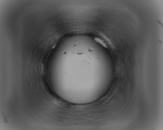 X0000091680025200709131556