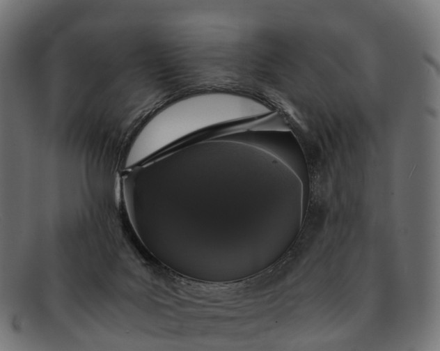 X0000091680027200709131556