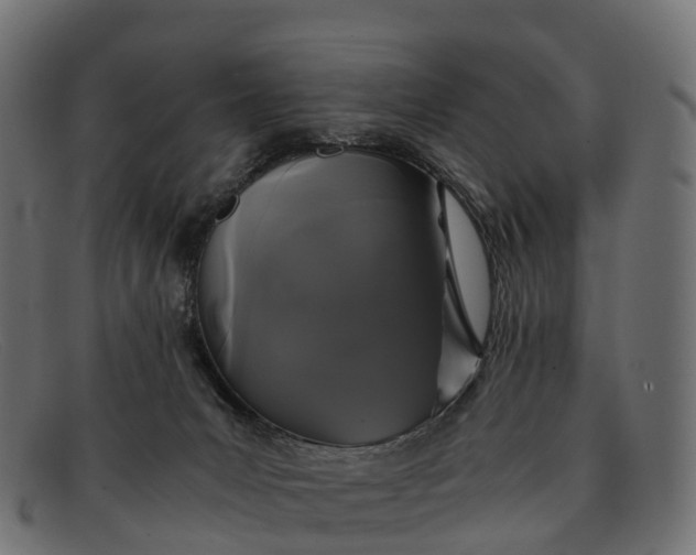 X0000091680031200709131556