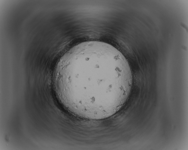 X0000091680032200709131556