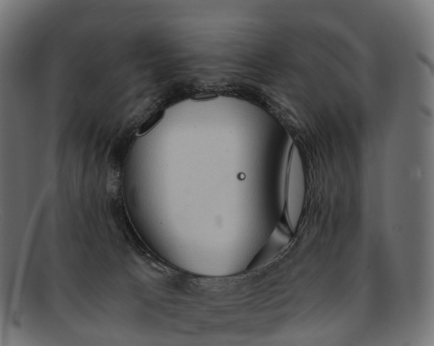 X0000091680033200709131556