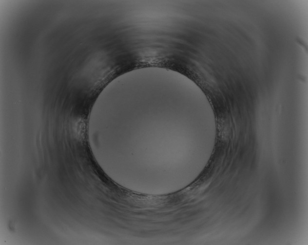 X0000091680036200709131556