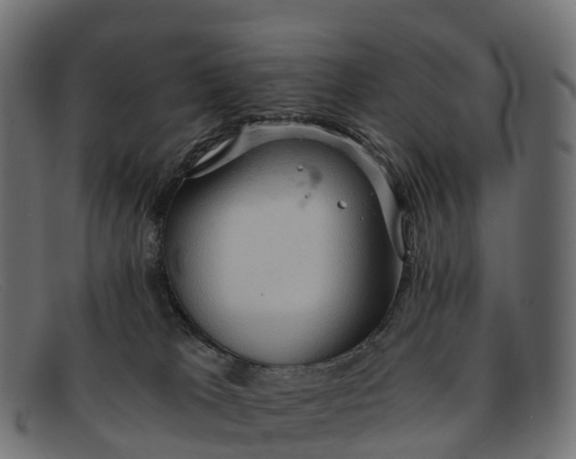 X0000091680037200709131556