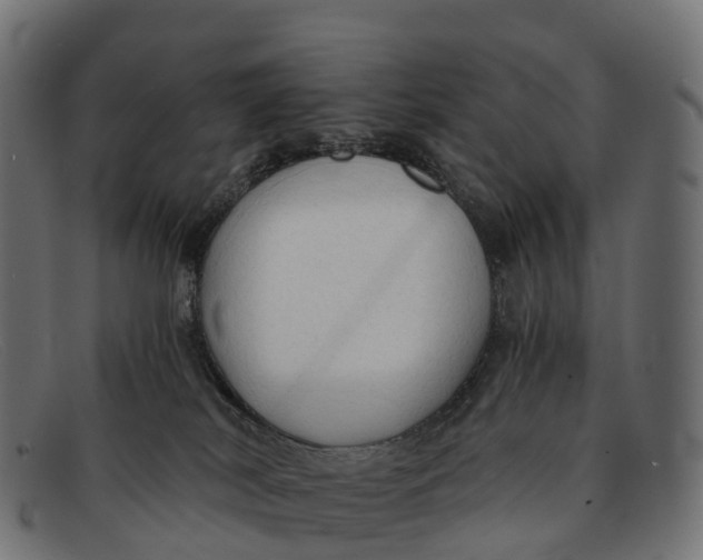 X0000091680038200709131556