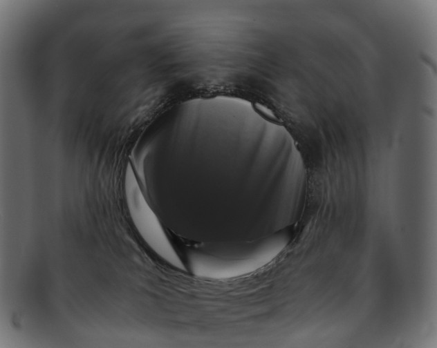 X0000091680039200709131556