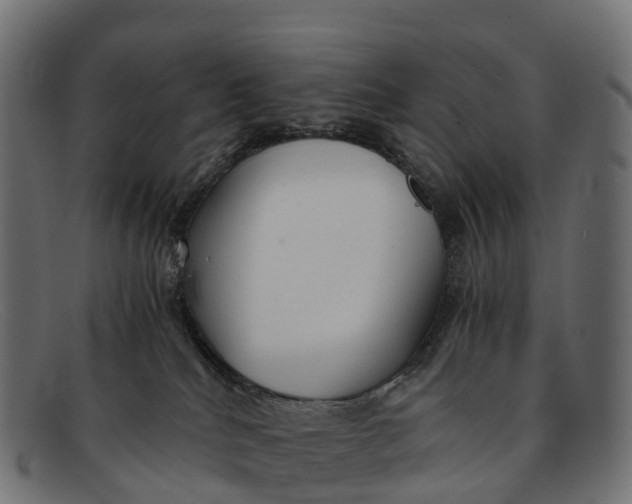 X0000091680040200709131556