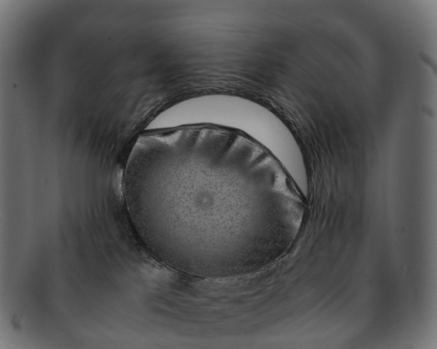 X0000091680041200709131556