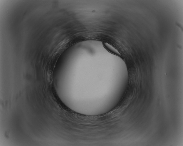 X0000091680044200709131556