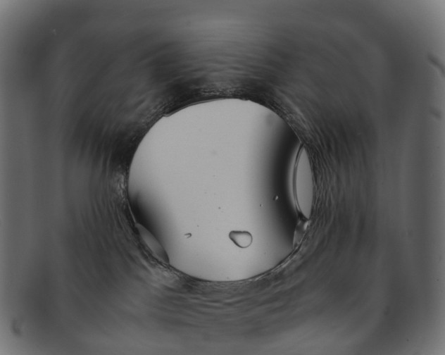 X0000091680045200709131556