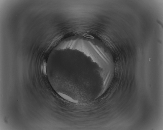 X0000091680046200709131556