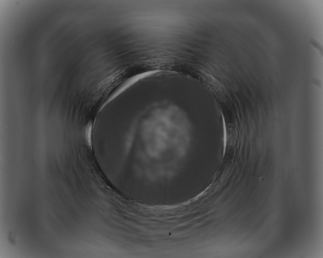 X0000091680047200709131556