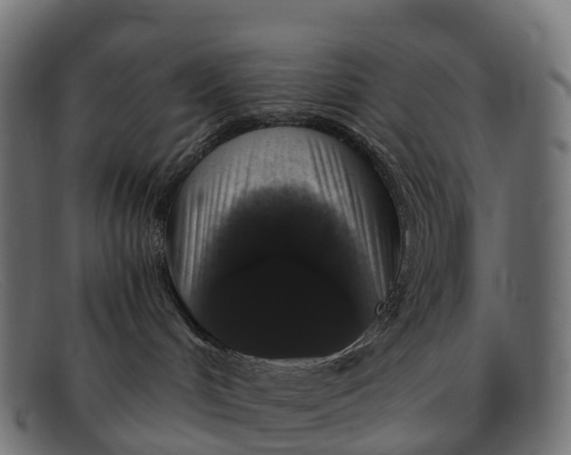 X0000091680048200709131556