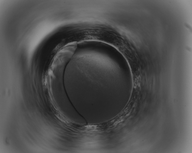 X0000091680052200709131555