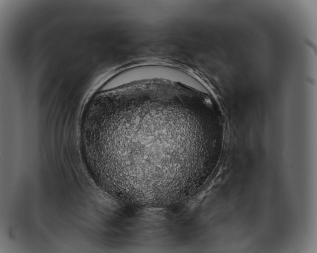 X0000091680055200709131555