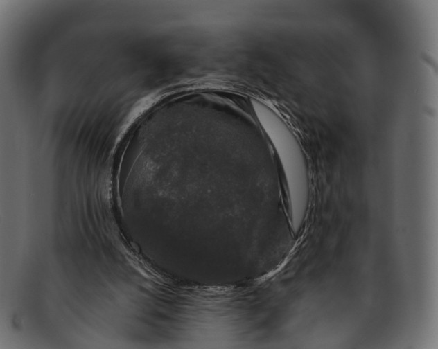 X0000091680056200709131555