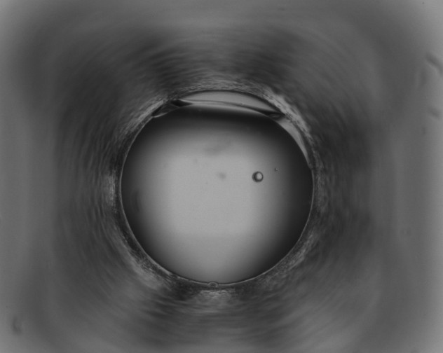 X0000091680057200709131555