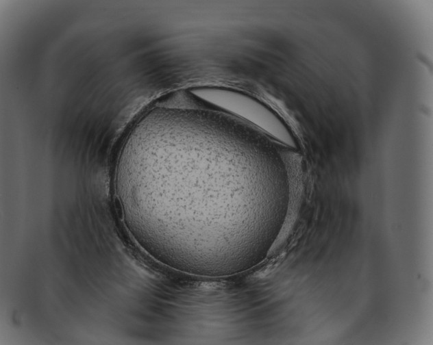 X0000091680060200709131555