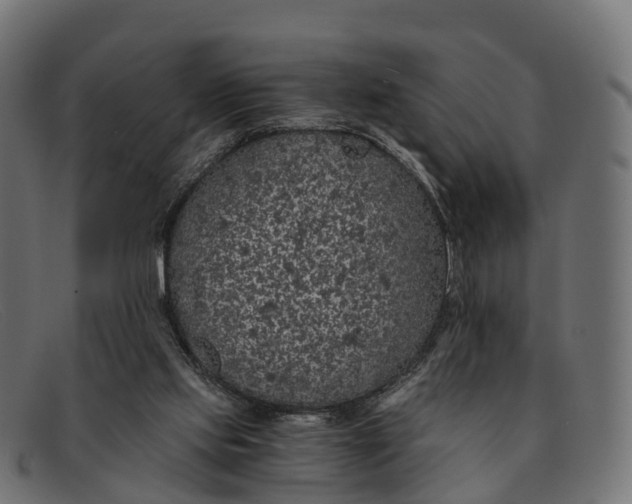 X0000091680061200709131555