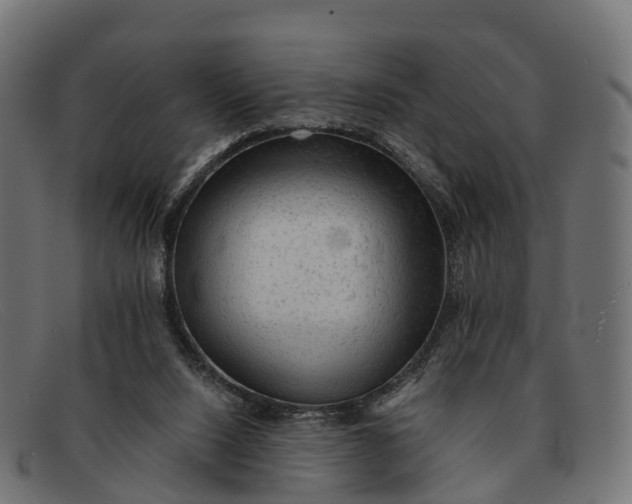 X0000091680064200709131555