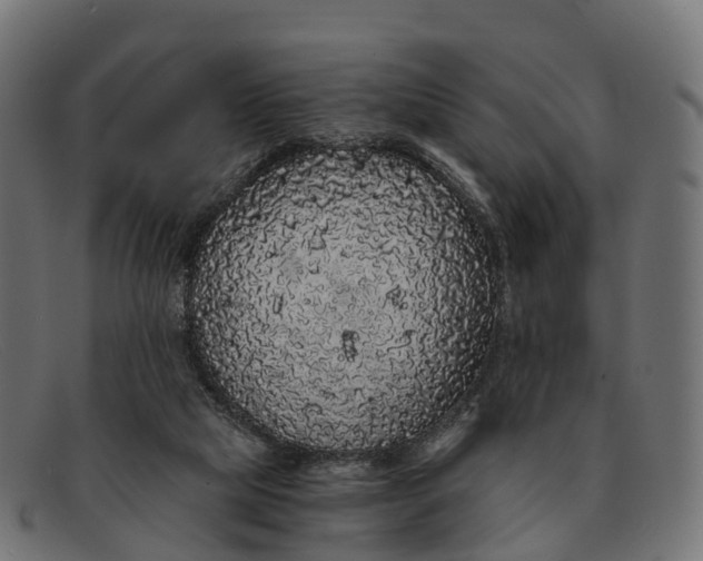 X0000091680065200709131555