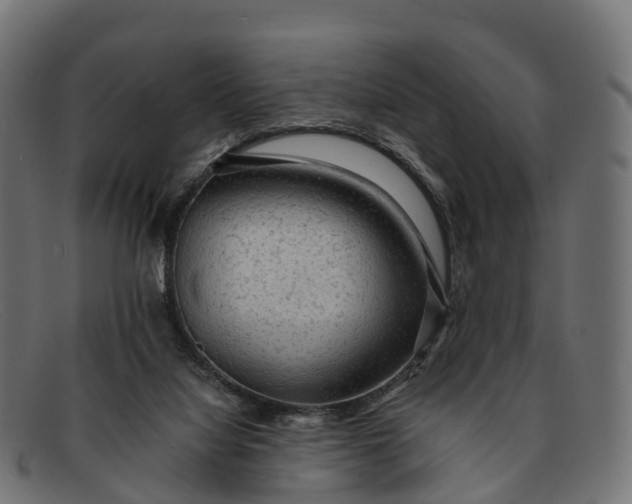 X0000091680068200709131555