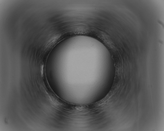 X0000091680070200709131555