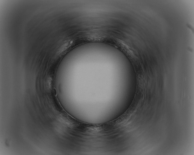 X0000091680071200709131555