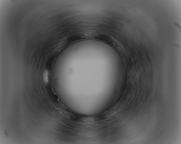 X0000091680075200709131555