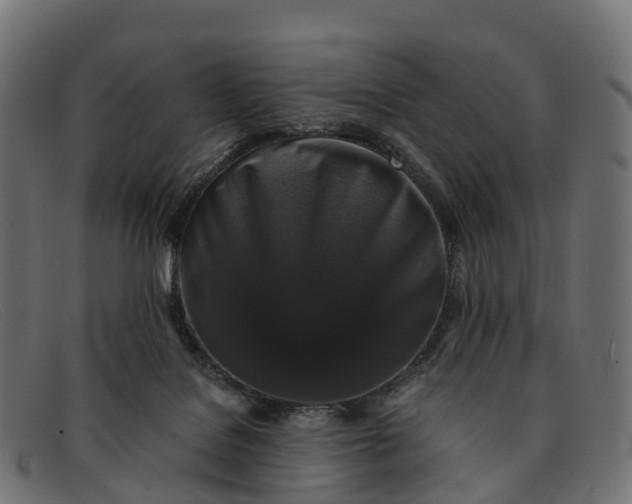 X0000091680076200709131555