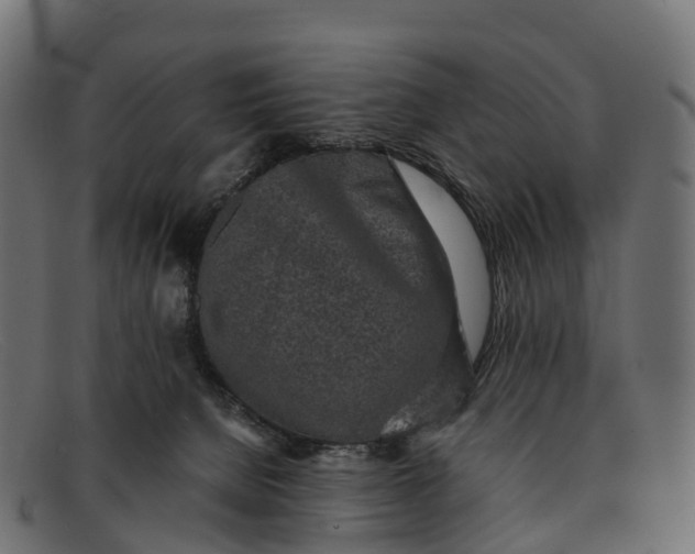 X0000091680080200709131556