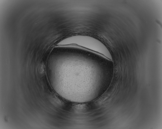 X0000091680081200709131556